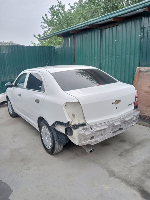 Кастаправ Маляр Покраска