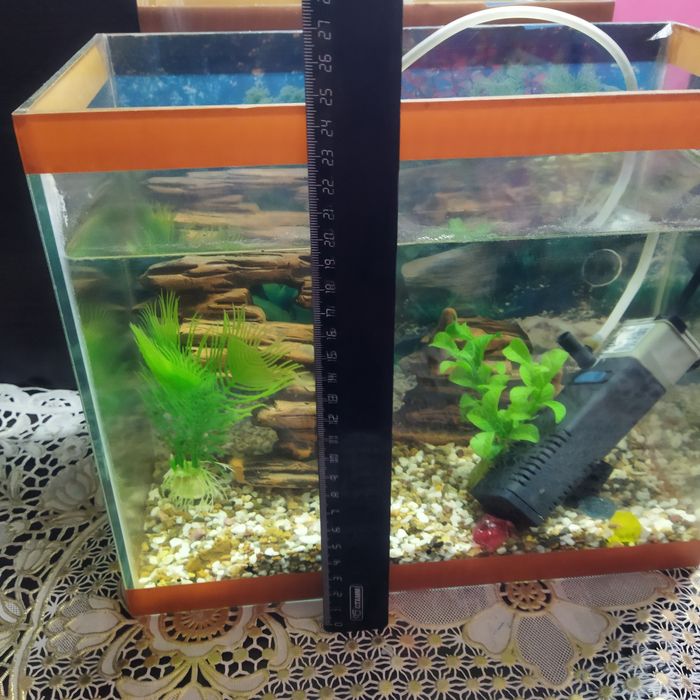 Аквариум не большой
