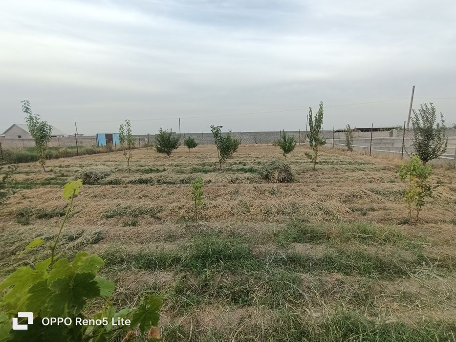 Продаётся участок дск дача тарафда