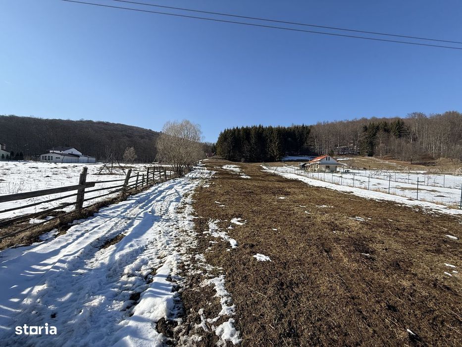 Teren intravilan 4521mp lângă pădure-valea Doftanei -Calea Brasovului