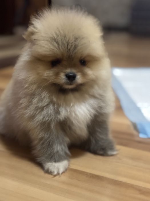 Пухкави малки изкушения