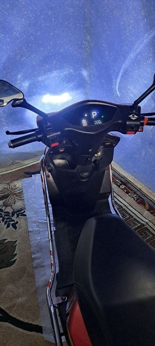 Elektra skuter kattasidan