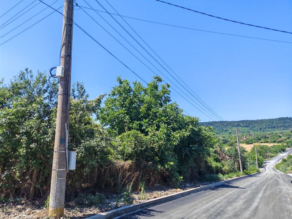 Дворно място с. Славейково