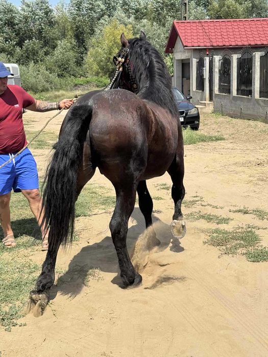 Vand sau schimb cu atv de 500 cc sau tractor
