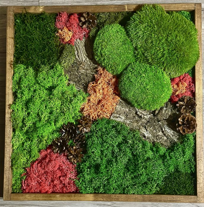 Живо пано от 3 вида скандинавски мъх и рамка от масив