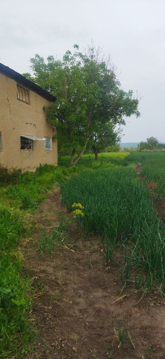 Карабайда уй сотилади