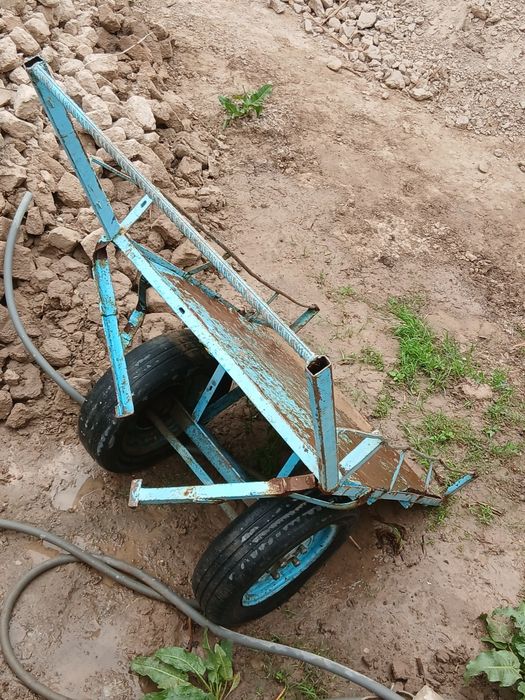 Arava baloni toza sifatli