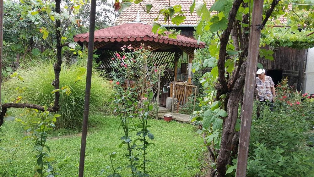 Casă mare zona centrală Aluniș