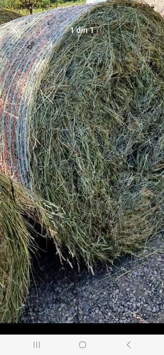 Balotat de fin de vinzare