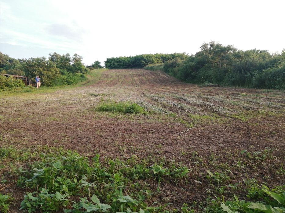 Teren intravilan 4336 m2 în Iepureni, com Movileni (20 km de Iași)