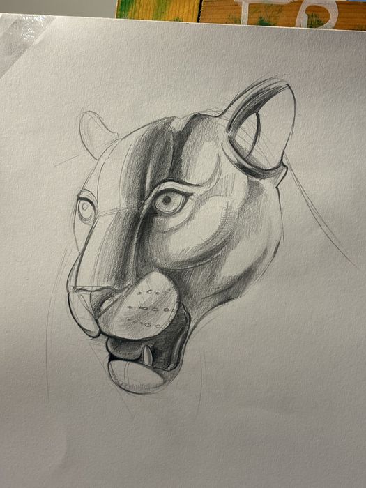 Iti desenez masina preferata!