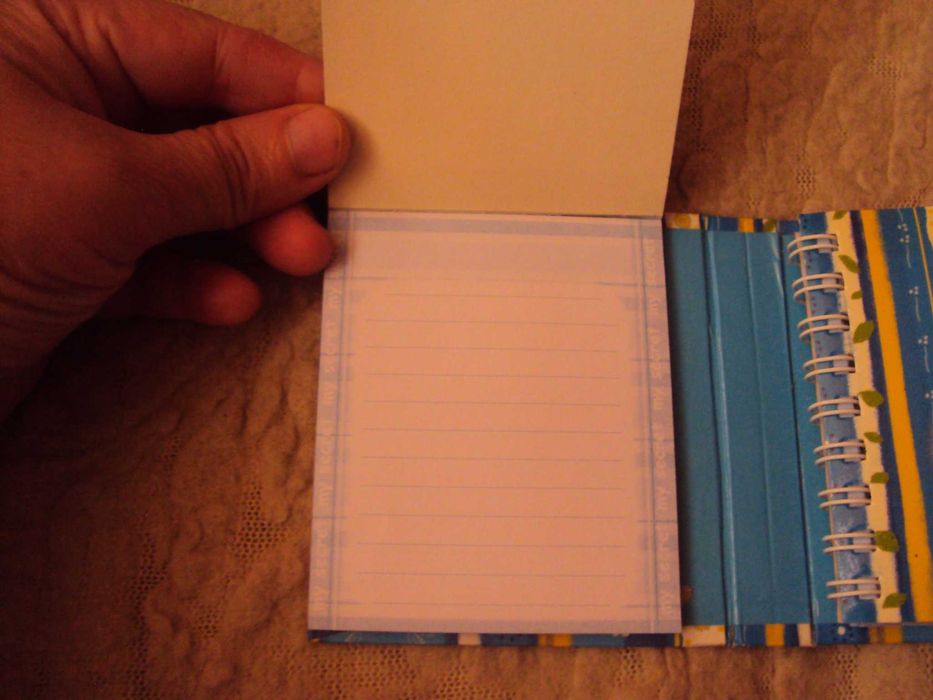 Мини-дневничок для девочки.