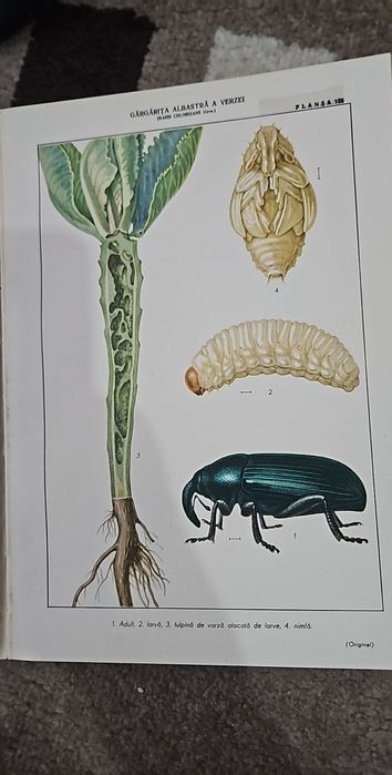 Carti de Colecție Protectia Plnatelor