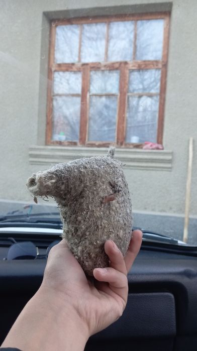 Құрқұлтайдың ұясы, Гнездо ремеза