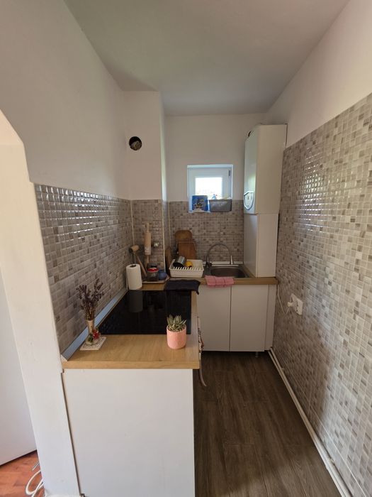 Casă, anexă și teren 52,7 ari – Rusu de Jos