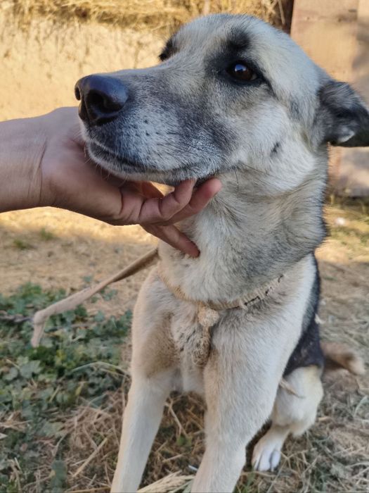 Мальчишка ищет новую семью!