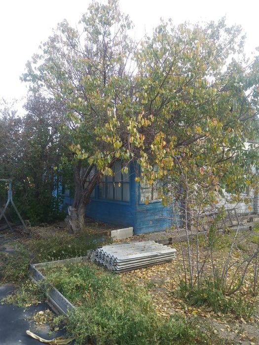 Продам дачу на соленке