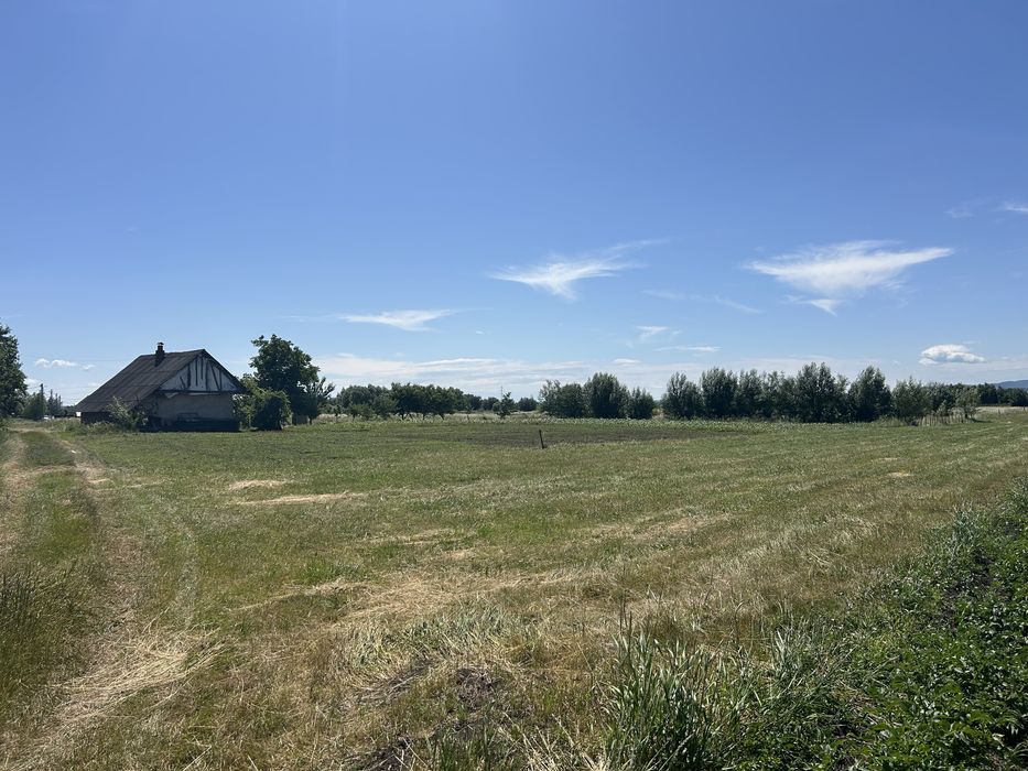 Vand teren intravilan Fantana Mare 4.500 mp