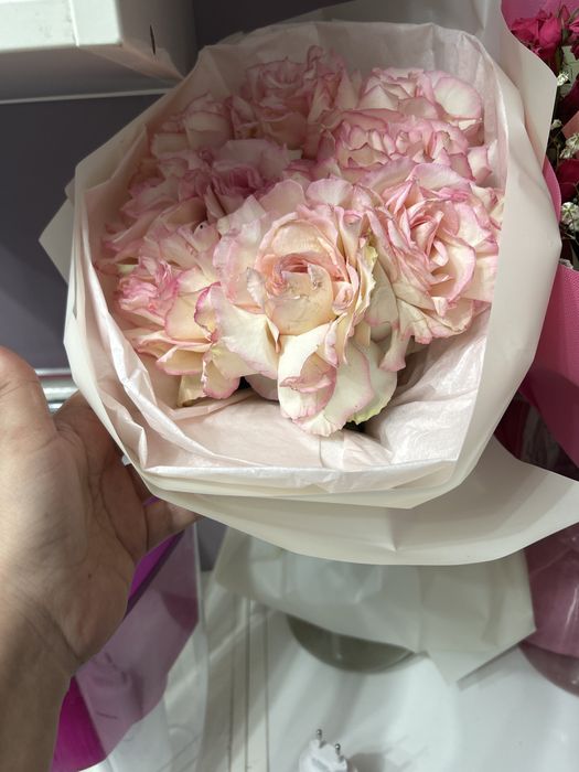 Продам цветы дешево