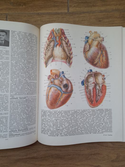 Большая советская енциклопедия