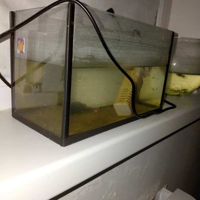 Аквариум сатылады продаеться аквари