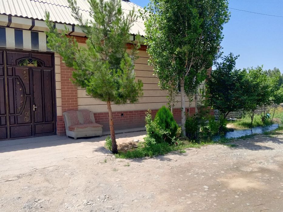 12 sotixli namuna mfyda