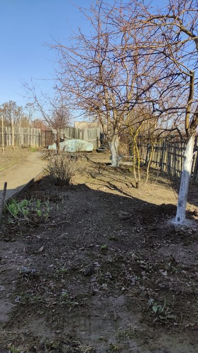 Продам дачу в садоводстве Нефтяник