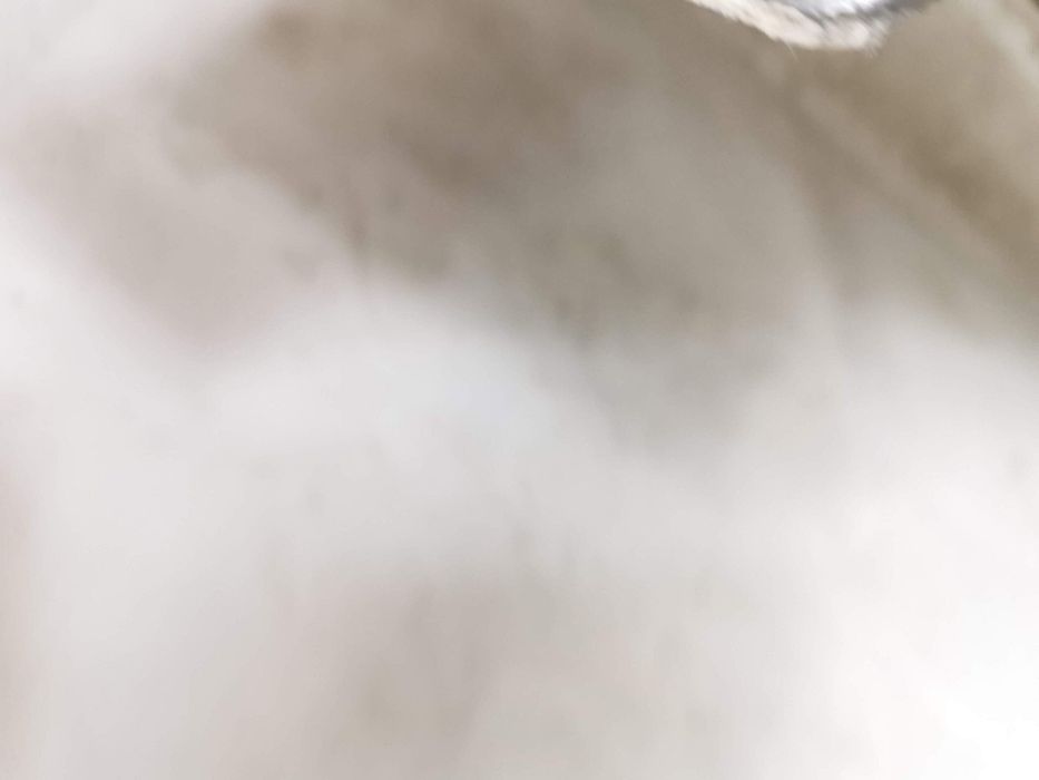 Заден капак / Багажник BMW З4 / BMW Z4 G29 Оригинален