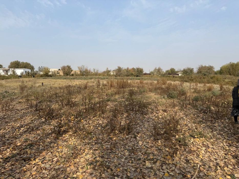 Sayxunobod tumani O’rikzor mahallasida 34 sotix yer sotiladi.