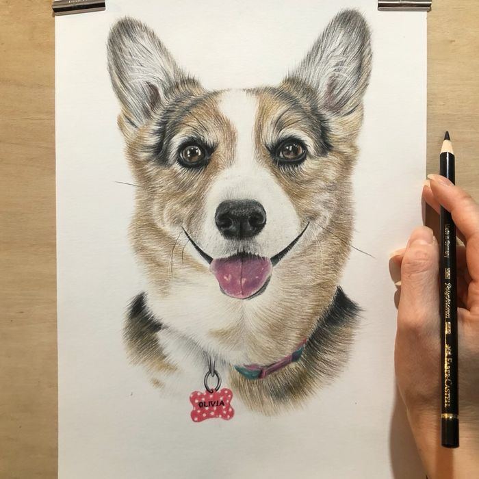 Portrete animalute - Cadoul perfect