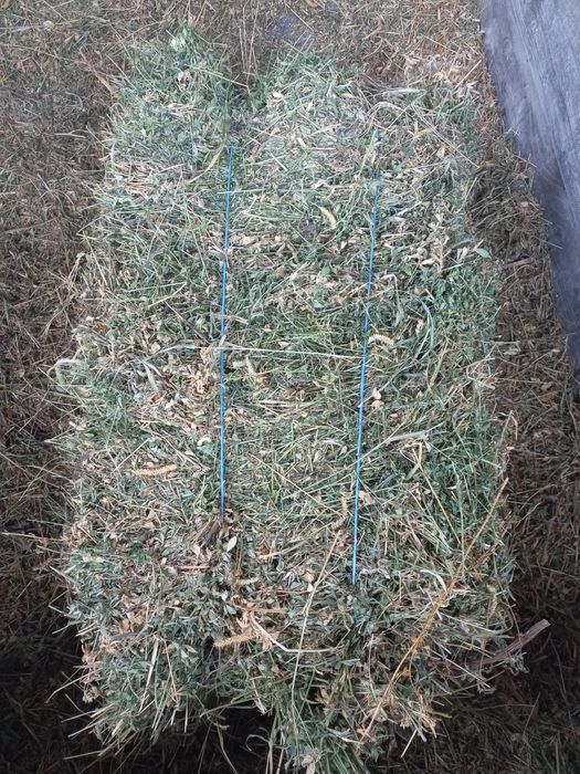 Vând baloti de lucerna