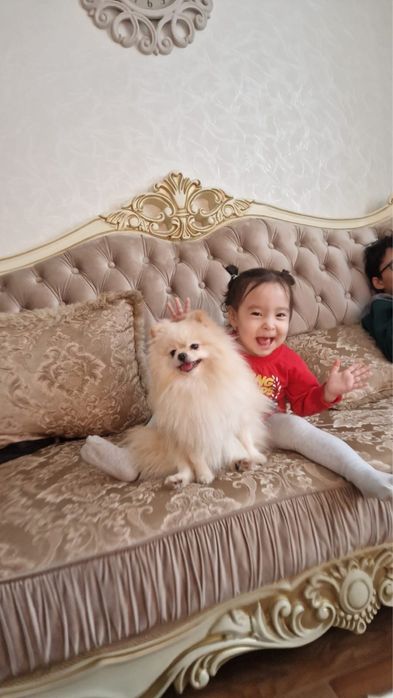 Девочка с полным пакетом документов в разведение