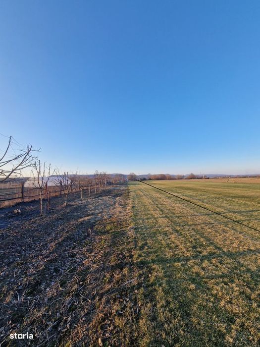 Teren intravilan de vanzare, 7300 mp, Dej