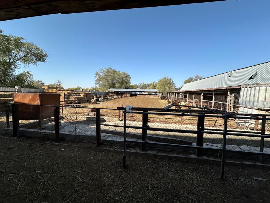 Фермерское хозяйство