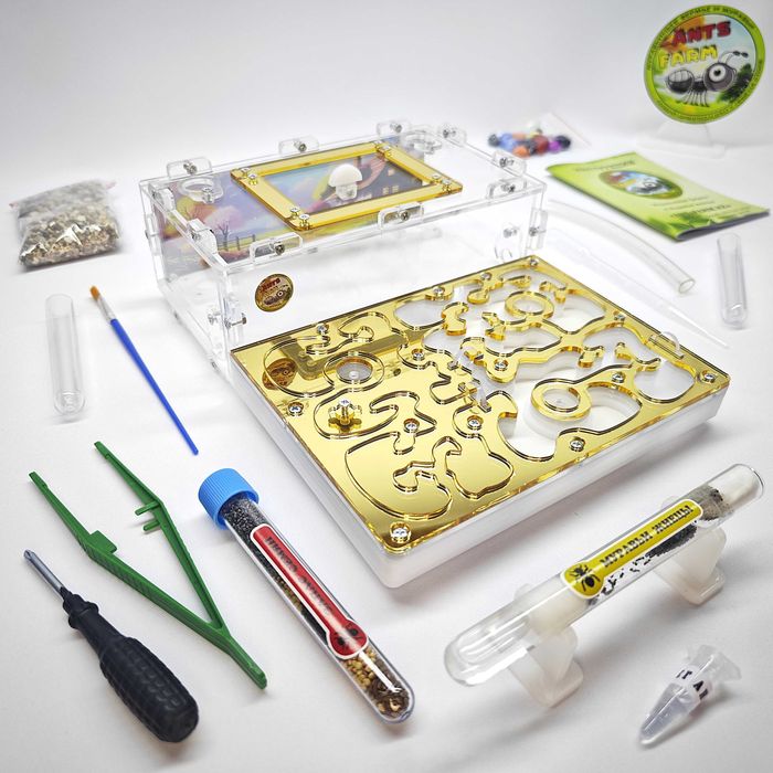 ГИПСОВЫЙ Формикарий "ADVANCED" ||| Муравьиная ферма - Муравьи жнецы