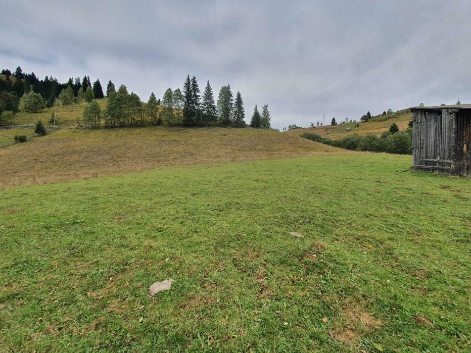 Teren  Bucovina pt pensiune