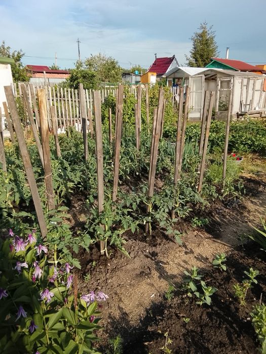 Продам дачу в Новопавловке