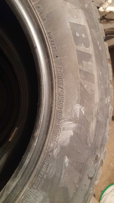 Bridgestone Blizzak dm-v2