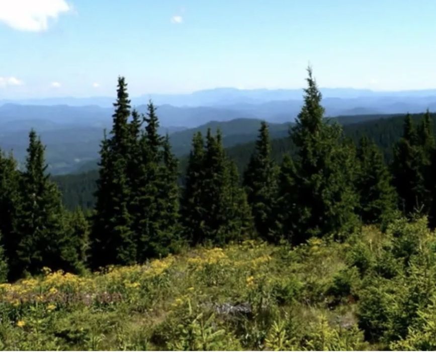 Къща за гости Вила Феерия Цигов Чарк