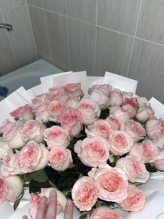 Роза букет свежая