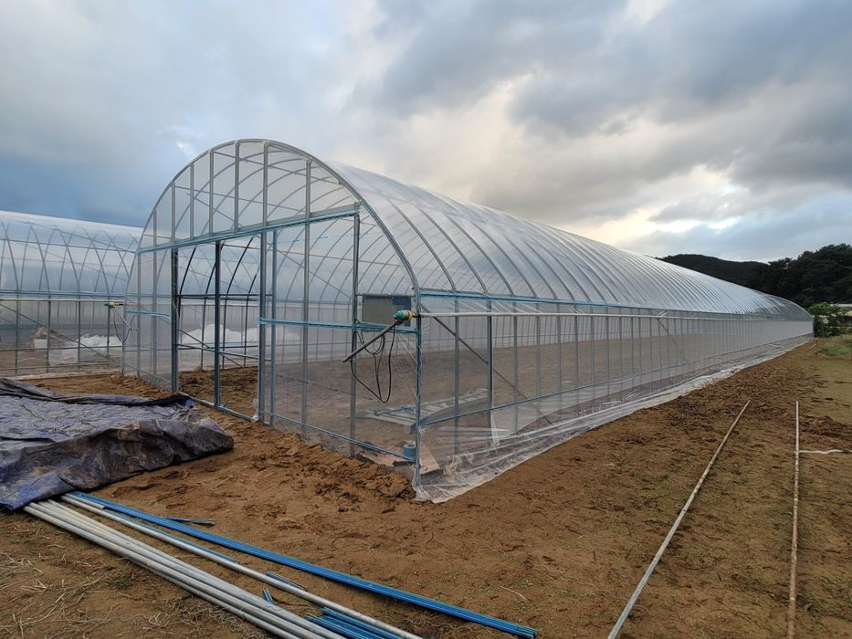 Карейская теплица