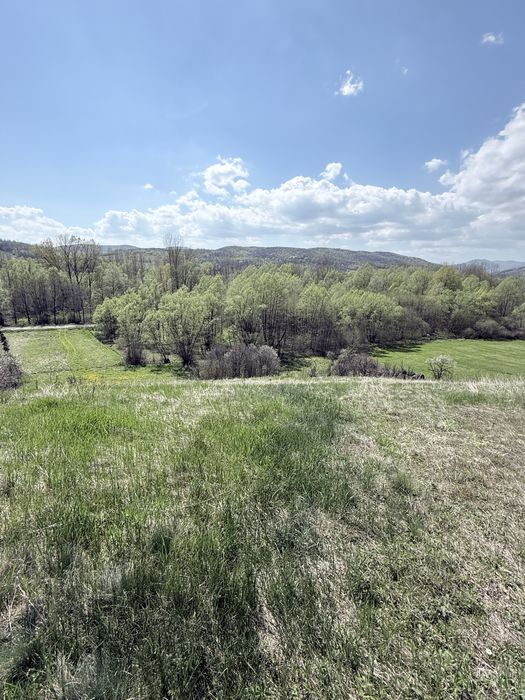 Teren panoramic 5.800 mp, acces la drum, vedere Munții Retezat, Ciula