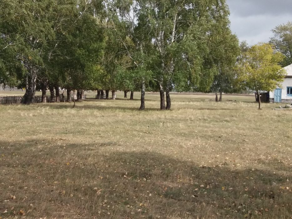 Фазенда. Продам фазенду