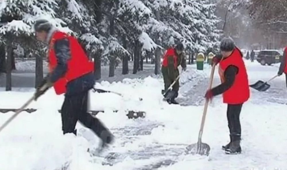 Услуги разнорабочего