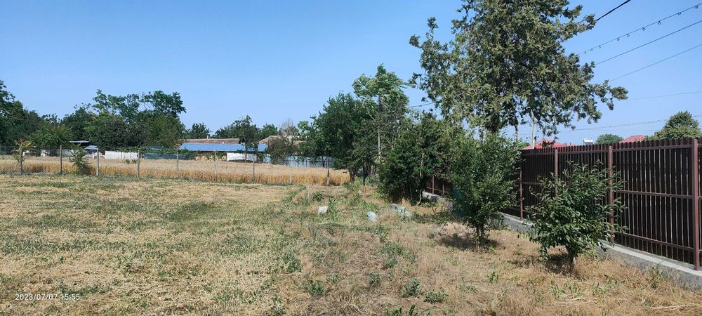 Teren  de inchiriat 2200m ,Com Borcea (CL), term lung-INTRAVILAN