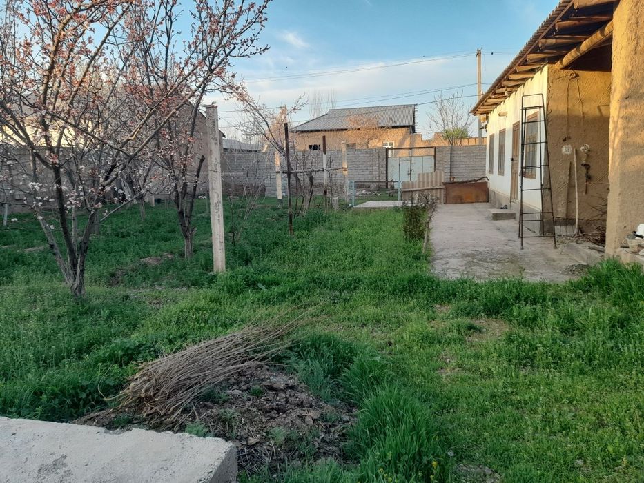 Yer sotiladi 8 sutix