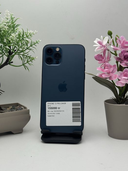 iPhone 12 pro 256/81%.  Айфон 12 про 256/81%