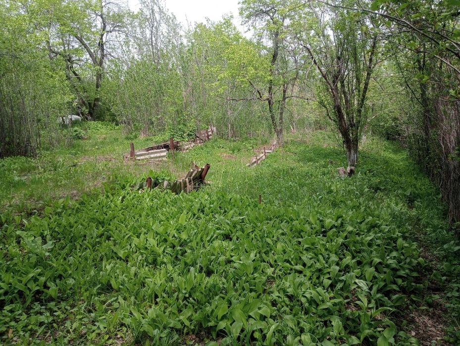 Продам дачу гТекели Горняк 7 соток