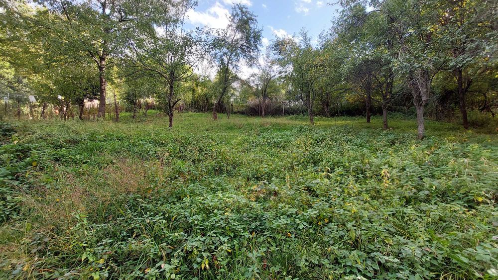 Продава се Къща в с. Мечковица, Област Габрово - 33 кв.м за 495 €/кв.м - Снимка #2