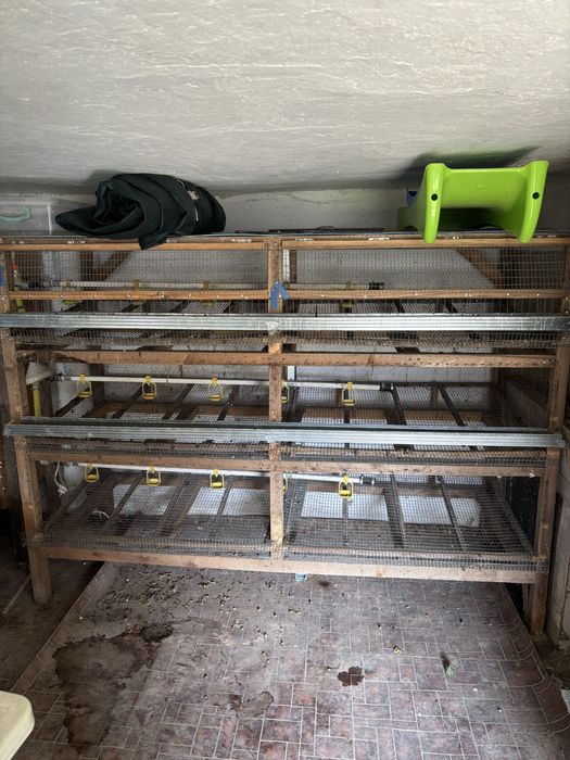 Клетки за отглеждане на пътпъдъци